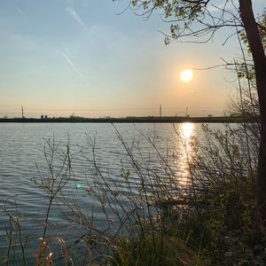 Meet your Posher, Paige